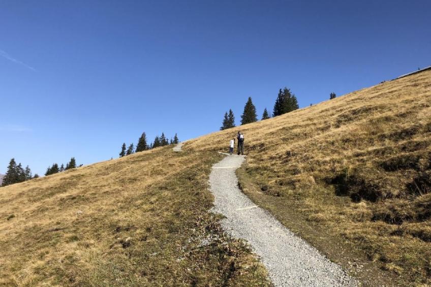 Chalet Bärgblüemli - foto 17