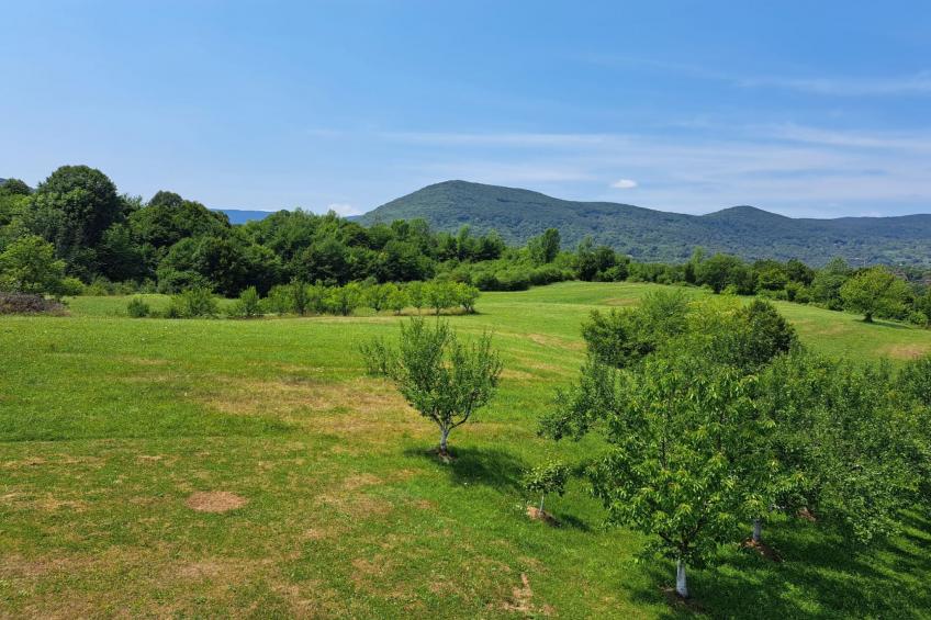 Guesthouse Žafran- Room With Landscape View - foto 58