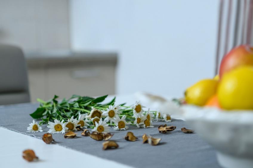 Wunderschönes Ferienhaus in Pomer mit Garten - foto 17