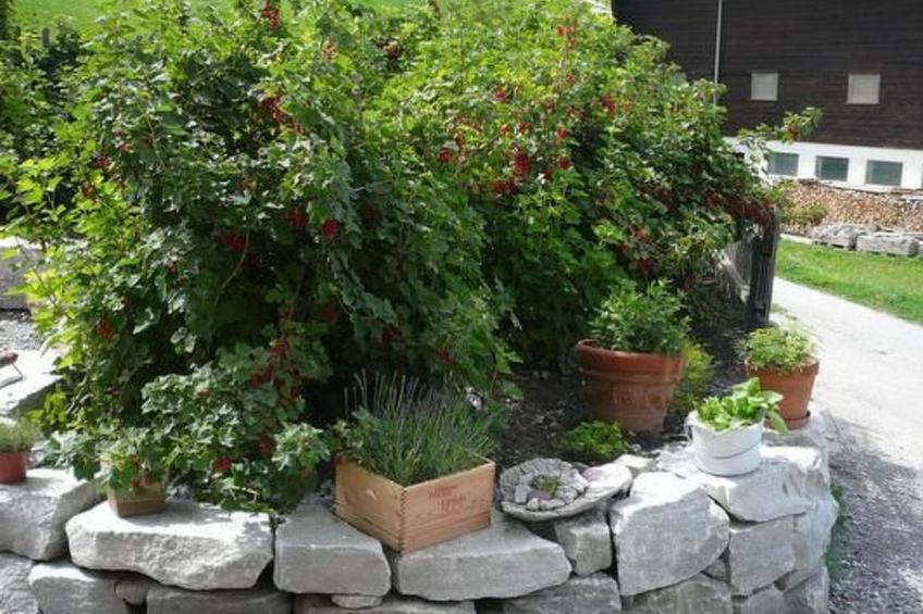 Hof Quadra - foto 15