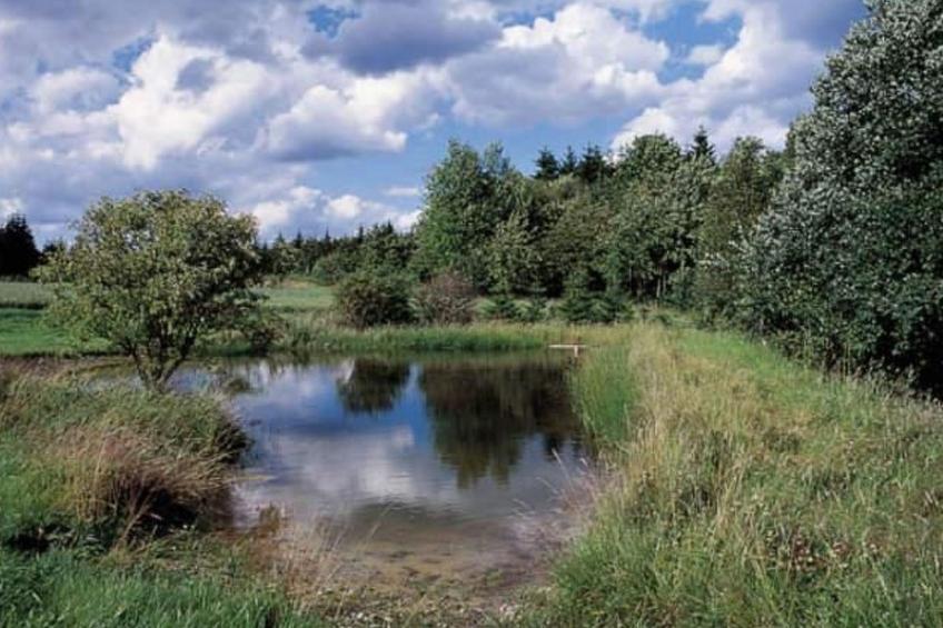 Appartement in Elbersreuth mit Garten - foto 18