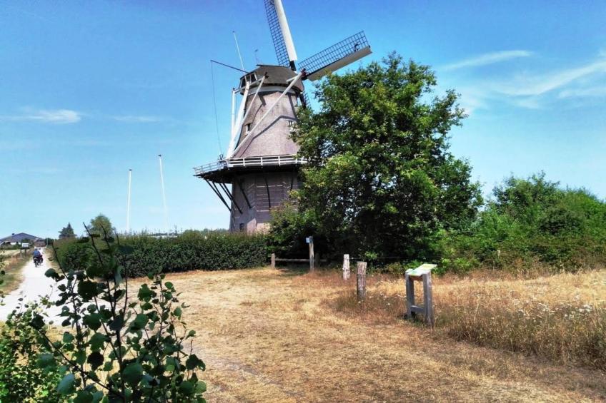 Boslodge l 4 persons - foto 33