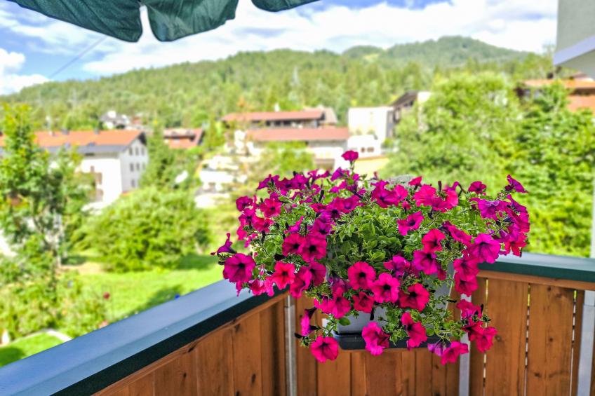 Lueg ins Land - foto 28