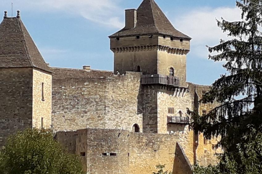 im Périgord in Saint-Cybranet - foto 22