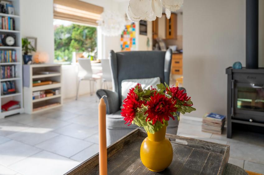 De Zilvermeeuw - foto 11