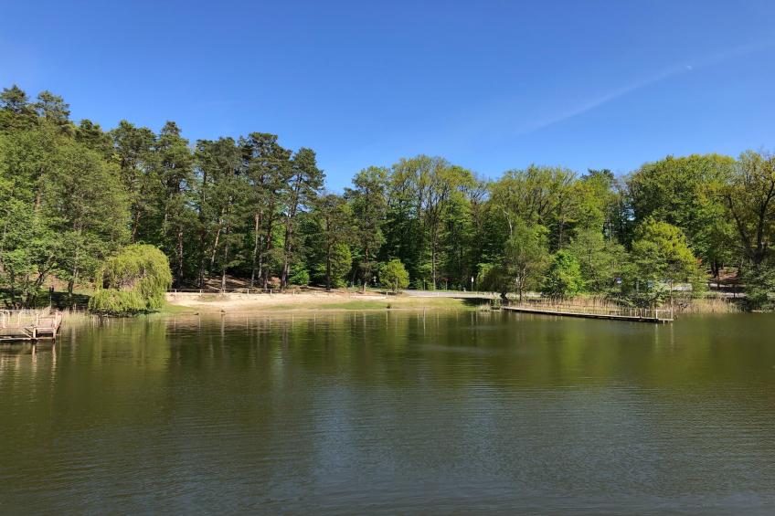 Marina 1 Bedroom Apartment 3 guest - foto 33