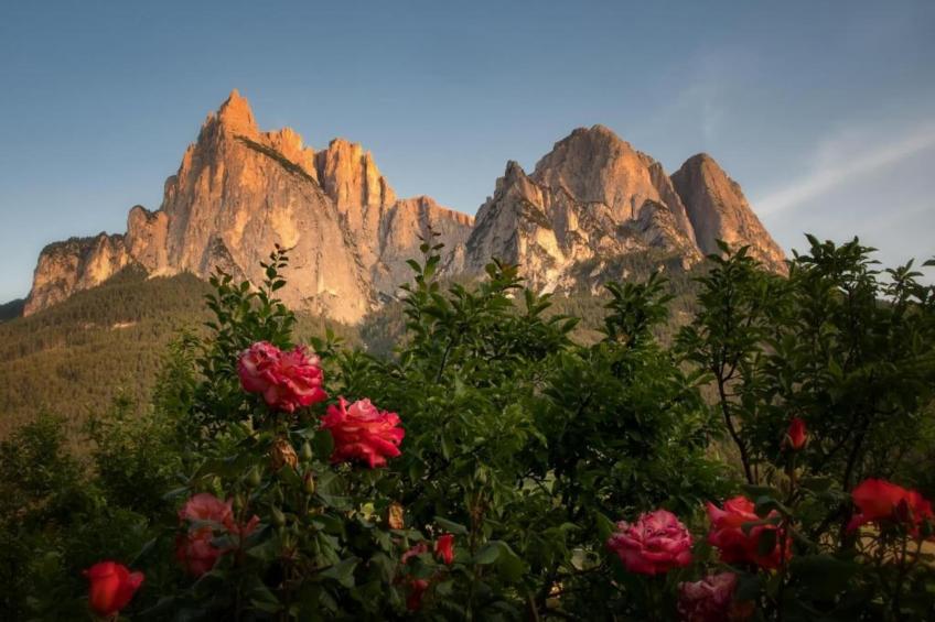 Cortina 2 - foto 18