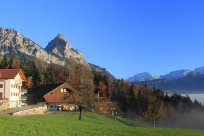 2-Zimmerwohnung RIGI