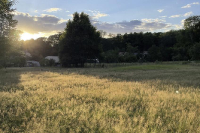 Spreewaldhaus am Landgut - Der Stall - foto 37