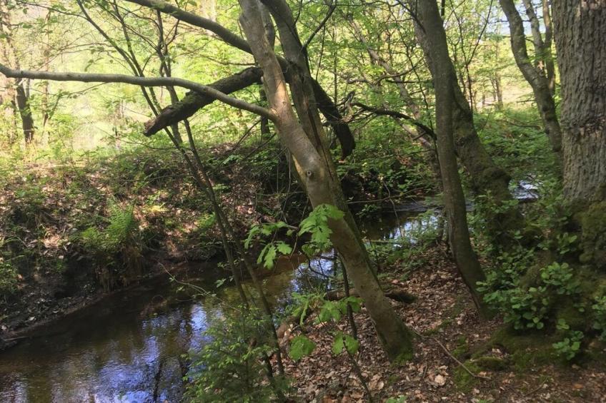 76937 - foto 33