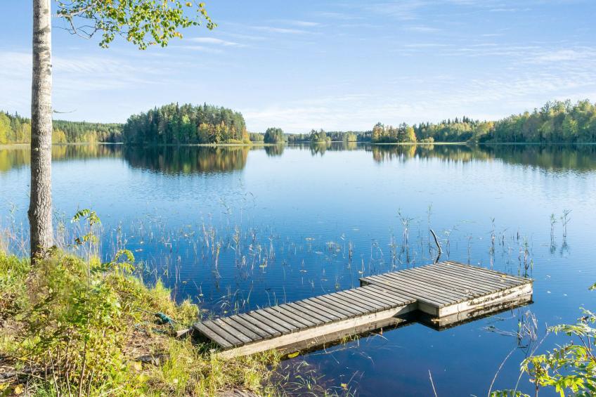 Lahdenpohja, vaikon loma ja lohi - foto 29