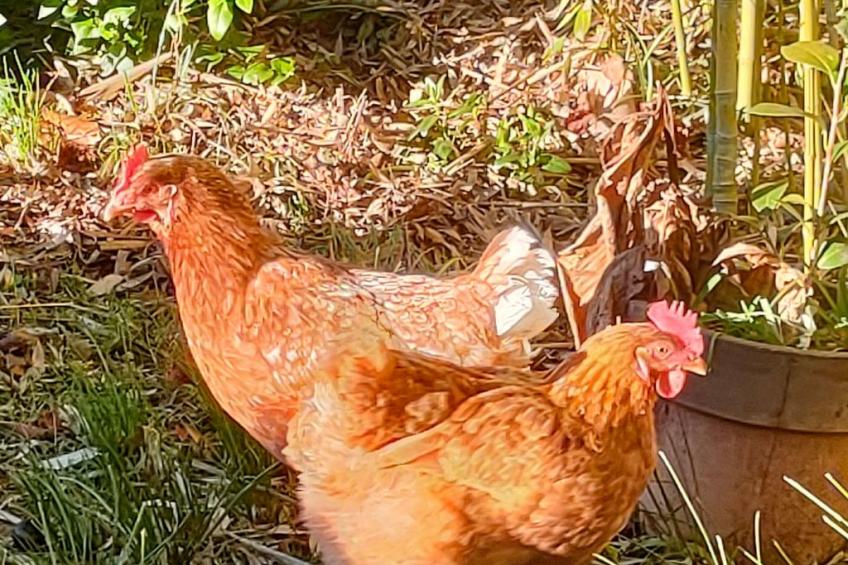 Haus mit Charme Landschaft von Aix - foto 20