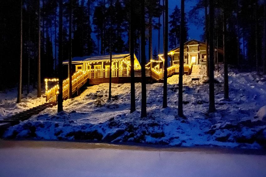 Villa norppa - foto 2