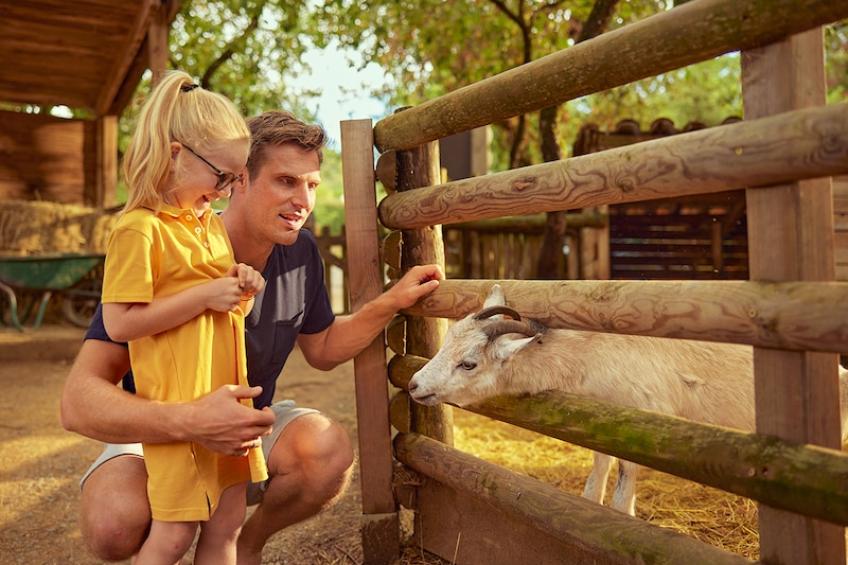 Appartement  Le Tikal 1ch+1 coin nuit 6p - foto 20