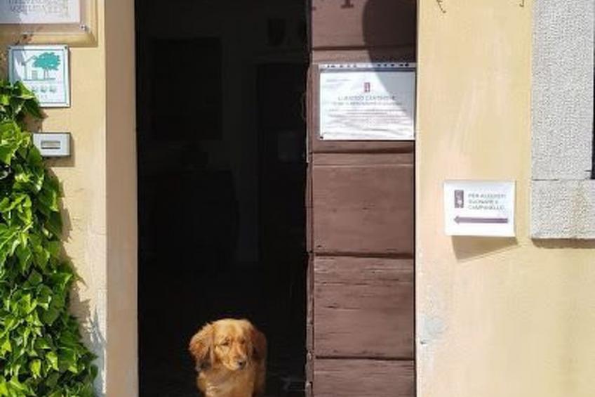 mit Privatparkplatz - foto 26