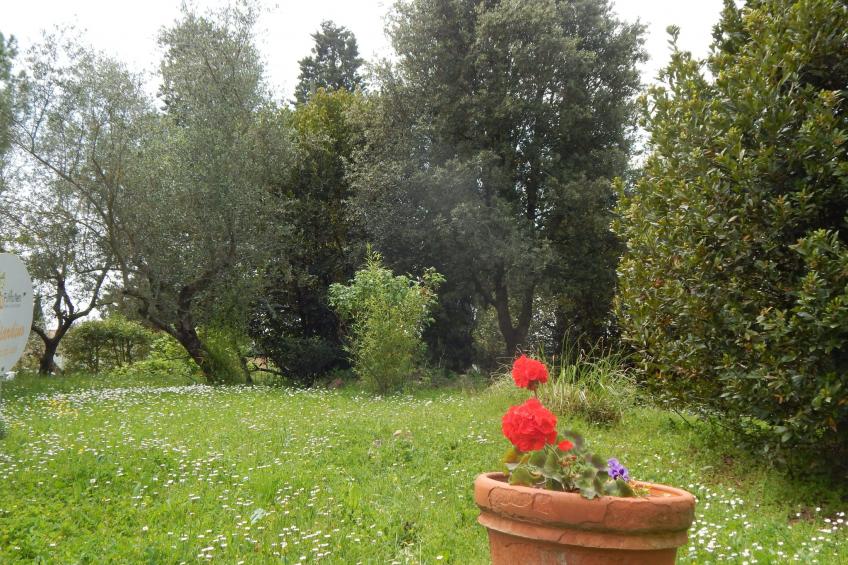 Dreizimmerwohnung für 4 Personen 3 km vom Zentru - foto 9