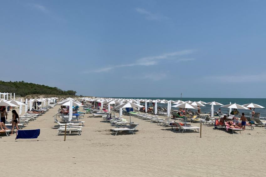 Residence Mare Pineta (CBT100) - foto 5