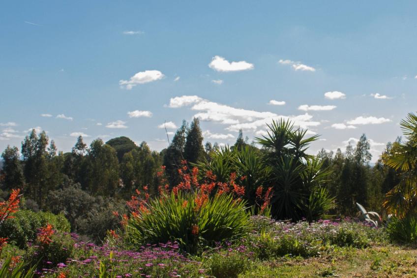 Monte Horizonte Casa Passaro Öko und Natur - foto 15