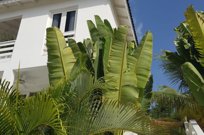 Wohnung B2 in Jan Thiel Curacao - foto 25