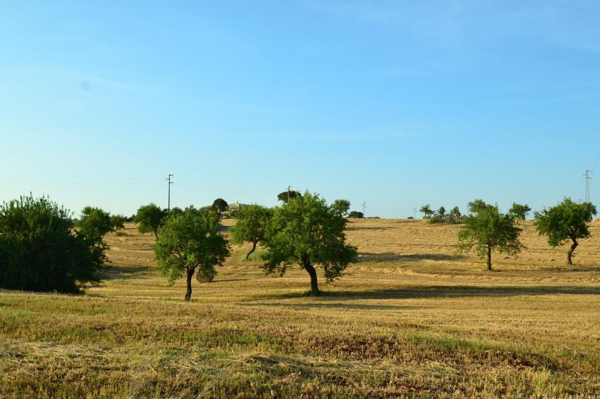 La Marcanna - foto 26