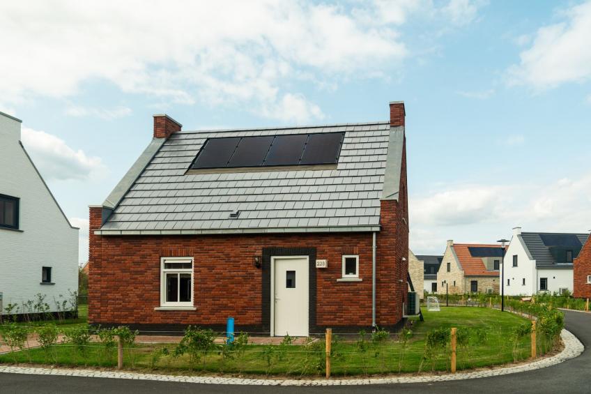 Premium Game 4p - foto 21