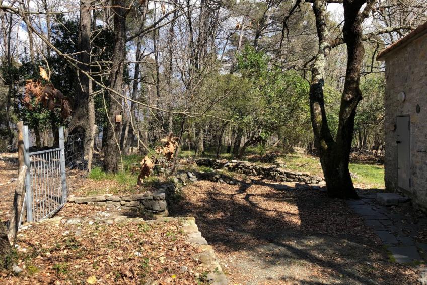 Mago in Ameglia - foto 26