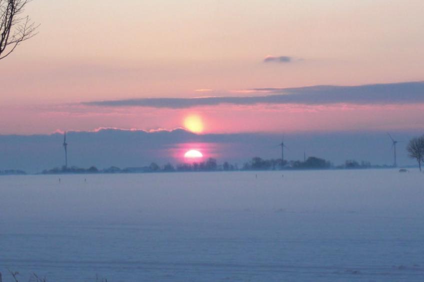 176958 - foto 12