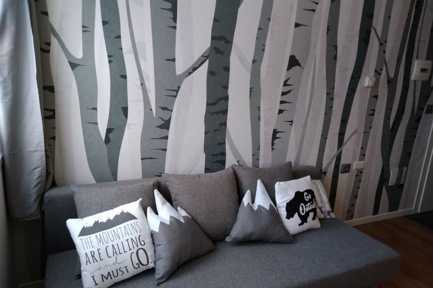 für 4 Personen ca. 28 m² in Passo del Tonale, Trentino (Val di Sole) - foto 3