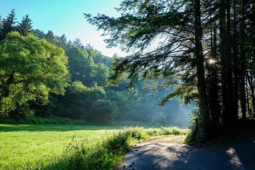 Feriendorf Reinskopf - foto 12