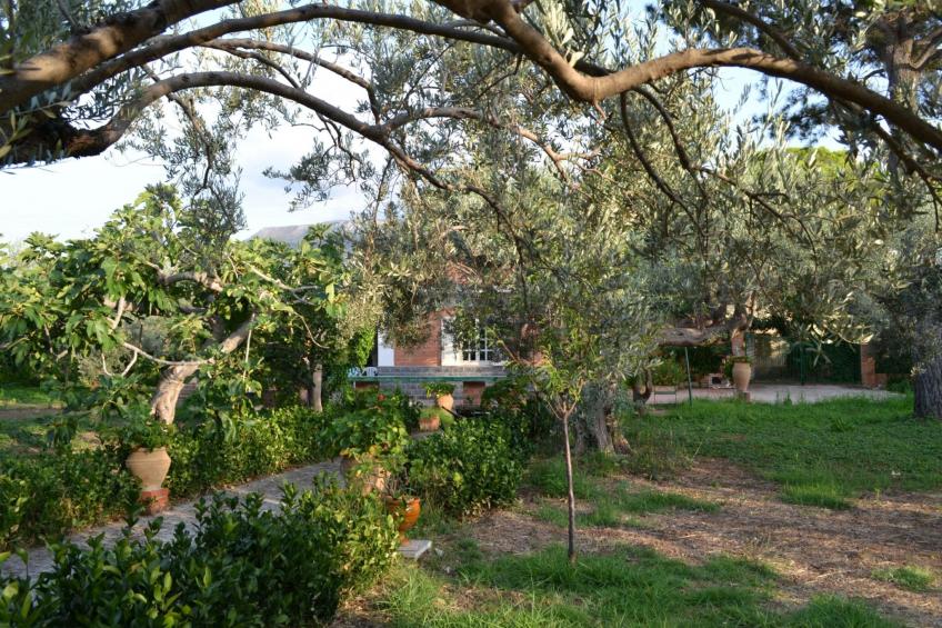 direkt am Strand - foto 10