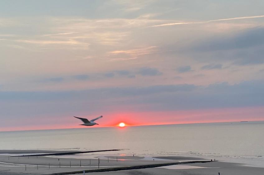 Penthouse mit Meerblick direkt am Strand - foto 25