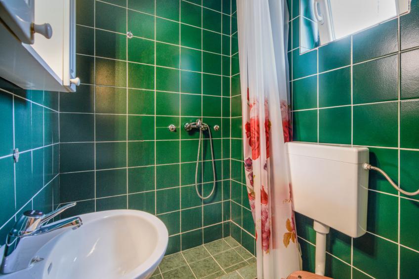 Haus Stanka (SNJ218) - foto 32