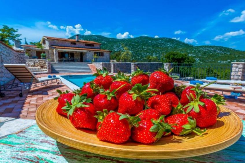 Rustic Haven Villa with swimming pool - foto 32