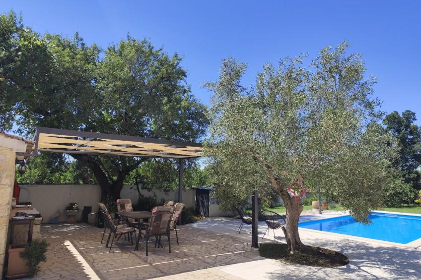 AQUA mit Pool - foto 47