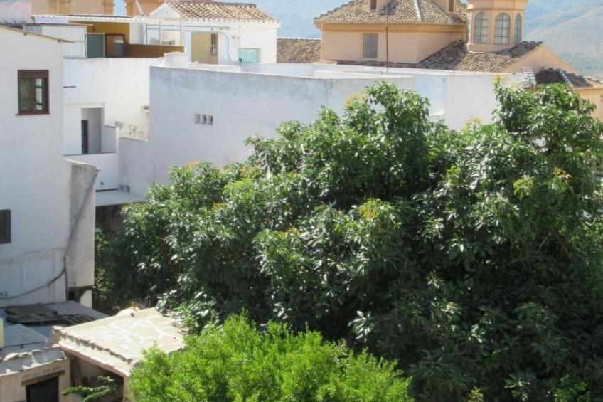 Eine Oase der Ruhe mitten in der Stadt - foto 46