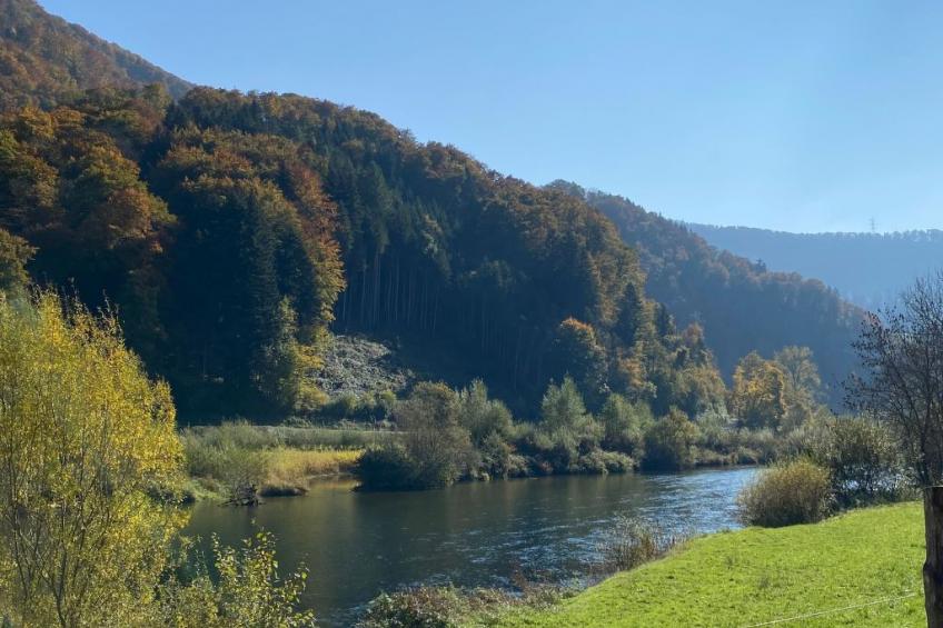 Maison Ruth/Galerie - foto 16