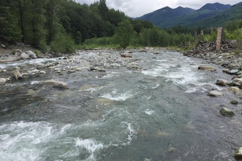 Gemütliche Hütte mit Whirlpool und haustierfreundlich - foto 24