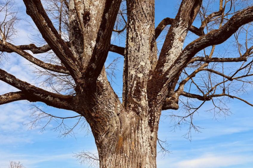 Spycher im Emmental - foto 4