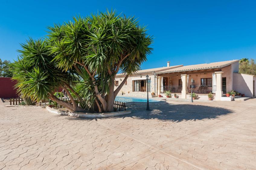 Es Blanquer De Na Fani - foto 7