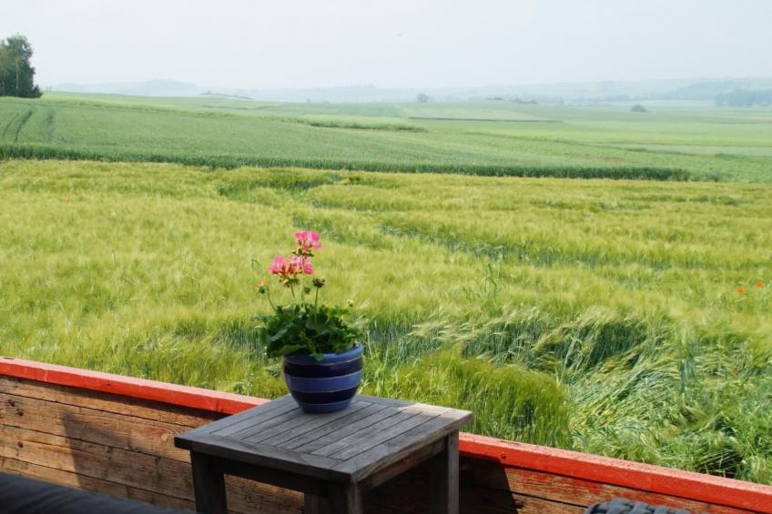 Wellness-Chalet - foto 31