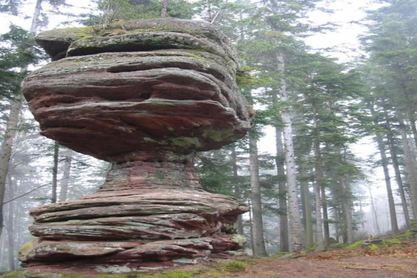 Gîte "Au bord de l'Eau " - foto 32