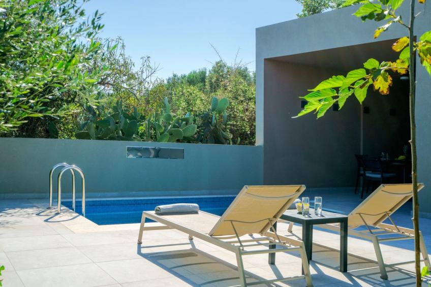 Villa Anthos - Luxuriöse 1-BDR Villa, ''Beheizter'' Pool