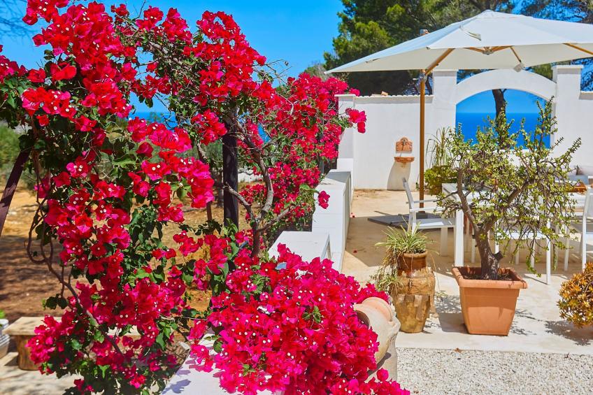 Villa Marinjo - foto 30