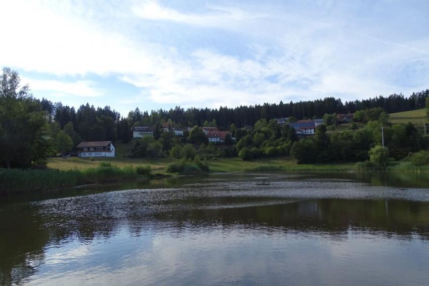205642 - foto 16