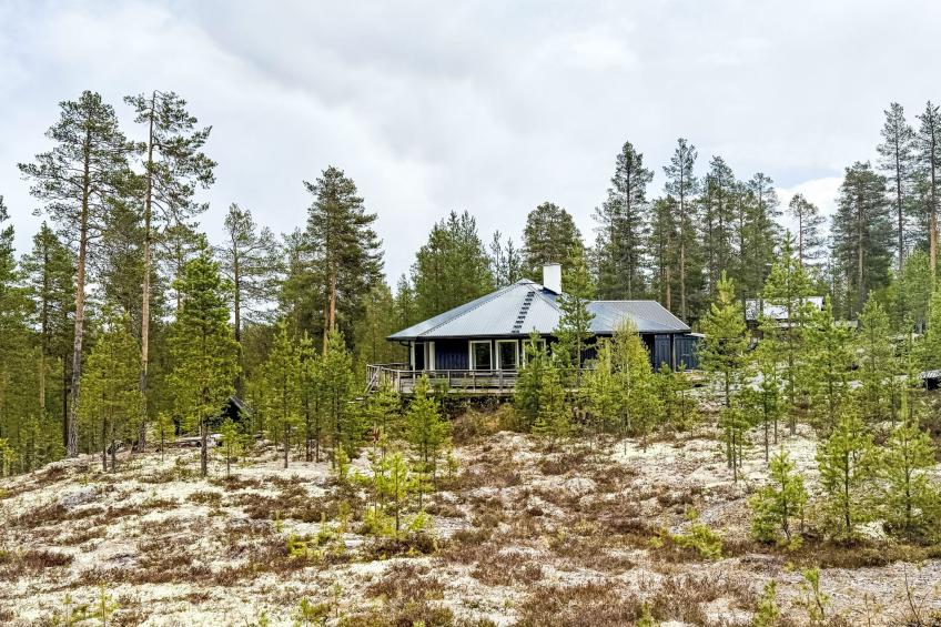 Kringelfjorden Renen - foto 35