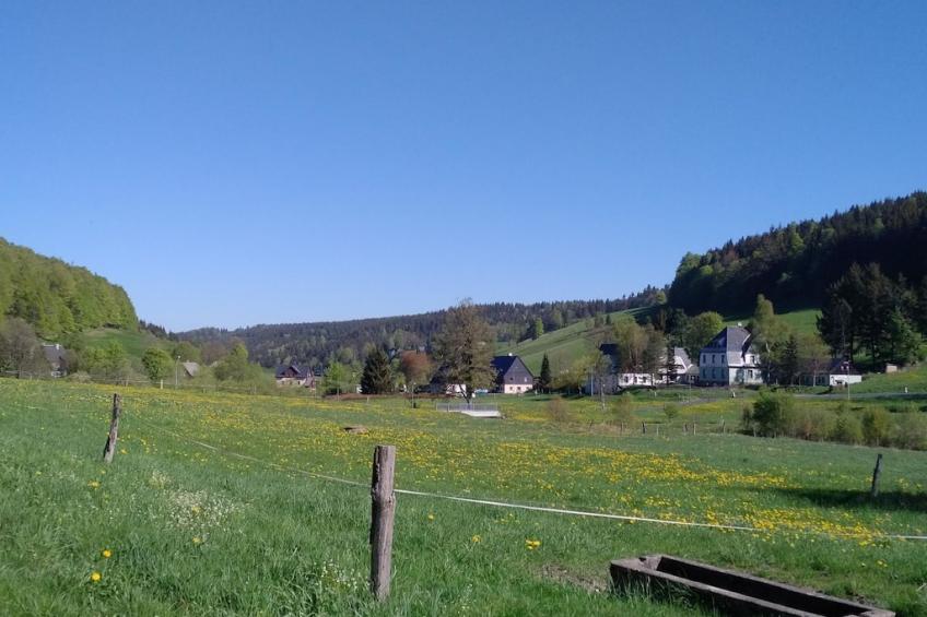 188590 - foto 9