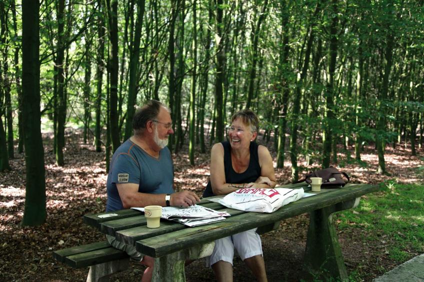 Marke van Ruinen - Markegaerde 4 - foto 13