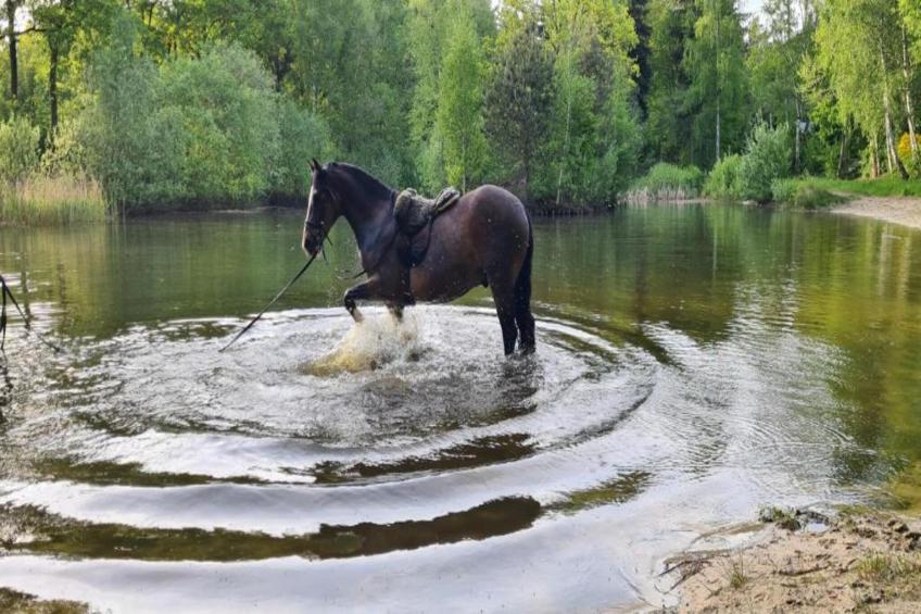 Buitenplaats Gerner 8 - foto 30