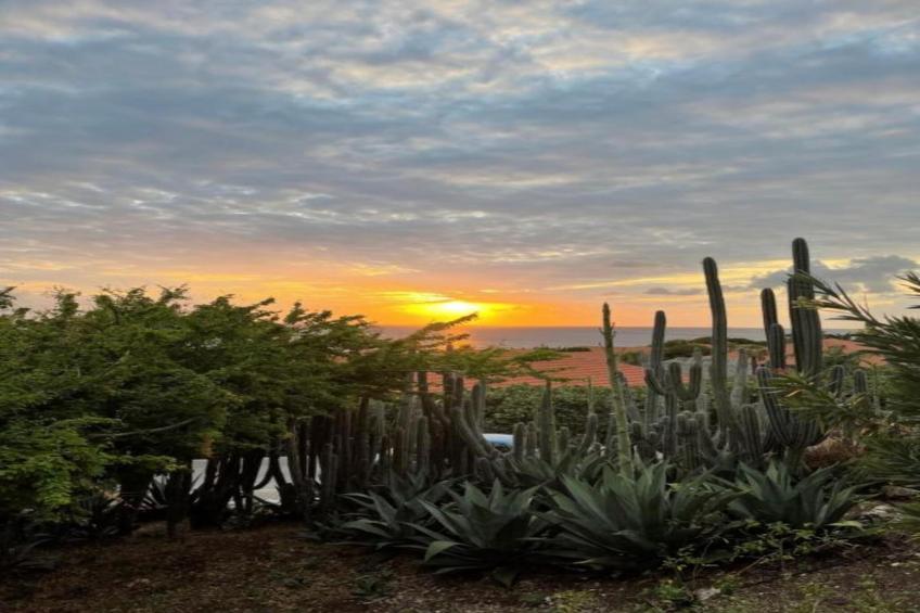 Villa Kas Krioyo - Boca Gentil - foto 36