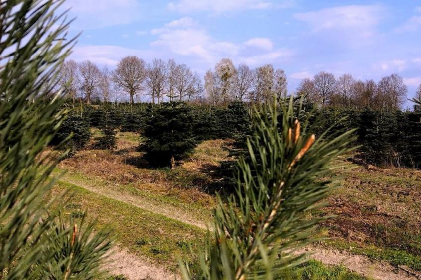 "Ferienhaus GolczaVita" - foto 25